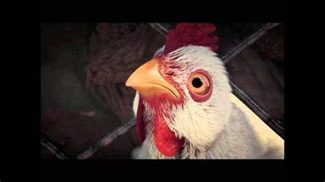 chicken race fable 3|fable 3 chicken race cheat.